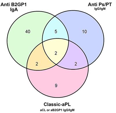 Presence of Extra-Criteria Antiphospholipid Antibodies Is an Independent Risk Factor for Ischemic Stroke